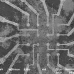Nanowire ‘brain’ network discovers and keepsinmind ‘on the fly’