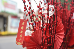 How Your Chinese Zodiac Sign Will Fare in 2024
