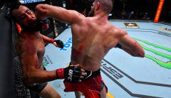 UFC complimentary battle: Jiri Prochazka melts Dominick Reyes with hellish spinning elbow