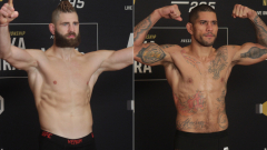 UFC 295 video: Jiri Prochazka, Alex Pereira under weight limitation for uninhabited title battle