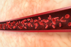 Skin hemoglobin discovery exposes skin’s protective tricks
