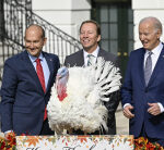 President Biden Pardons National Thanksgiving Turkeys On His 81st Birthday