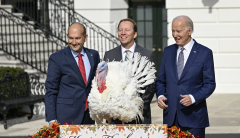 President Biden Pardons National Thanksgiving Turkeys On His 81st Birthday