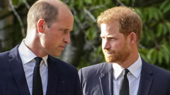 Prince William and Prince Harry have ‘no strategies’ to reunite