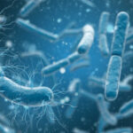 E. coli reveals a increased capability to develop antibiotic resistance