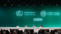 4 concerns for Cop28 to settle about a international carbon market