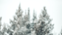How to develop a winterseason emergencysituation package (and why you needto)