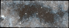 Webb’s findings discuss the dark stellar area