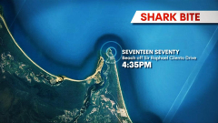 Guy assaulted by shark at Seventeen Seventy in main Queensland