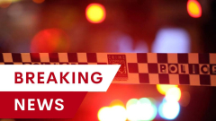2 individuals eliminated as carsandtruck crashes into tree near Casino, NSW