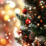 Live Christmas trees effect indoor air chemistry