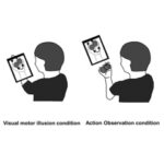 Visual help can enhance motor efficiency