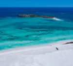 Male bitten by shark while windsurfing off Wedge Island, near Lancelin north of Perth