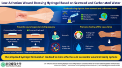 An ingenious hydrogel for injuries: Combining seaweed and carbonated water