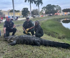 See: 12-foot alligator recorded at Florida shoppingcenter
