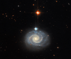 Hubble sees a galaxy with prohibited light
