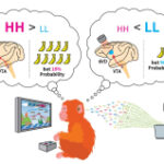 Researchers recognized neural circuits that balance danger vs. benefit decision-making