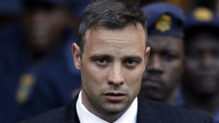 Oscar Pistorius released from prison after sweetheart Reeva Steenkamp’s murder in 2013