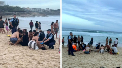 ‘Chaotic’ scenes as 4 pulled from the browse at Sydney’s Bronte Beach