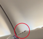 Snake on a aircraft! Live reptile found in overhead cabin on Bangkok flight