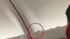 Snake on a aircraft! Live reptile found in overhead cabin on Bangkok flight