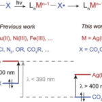 Electrophotocatalytic perfluoroalkylation by LMCT excitation of Ag(II) perfluoroalkyl carboxylates | Science