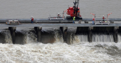 Army Corps of Engineers failed to protect dolphins in 2019 spillway opening, lawsuit says