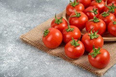 Antimicrobial homes of Tomato juice can eliminate germs triggering Typhoid fever