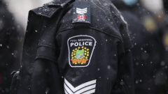 Peel, Ont. cops extortion job force examining 29 cases, lays 2 lots charges