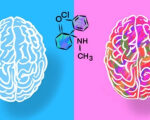 Ketamine result affected by opioid paths, varying by sex