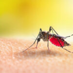 Malaria battle sees enhancement