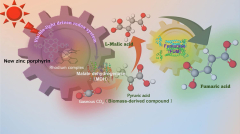 Utilizing synthetic photosynthesis to produce naturallydegradable plastics