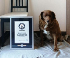 Guinness World Records withdraws title for earliest pet ever