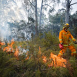 Australian towns on high brushfire alert