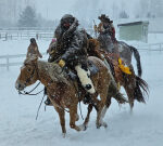 Skiers pulled by horses over ramps in a gnarly snowstorm? Only in Alberta