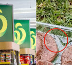 Consumer leaves ended Woolworths meat in the sun for 5 days