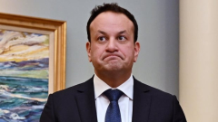 Irish PM yields defeat in referendums about females’s function in the home, meaning of household