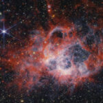 NASA’s Webb peers into the Tendrils of NGC 604