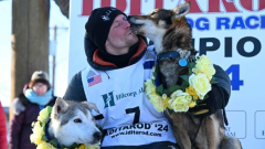 Musher’s win makes Iditarod history, however Alaska’s well-known race is ruined by 3 sled petdog deaths