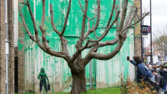 Banksy’s mostrecent mural highlights cropped tree, illustration crowds who see ecological message