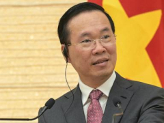 Vietnam’s vice president endsupbeing interim president
