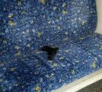 Guy charged after leaving gun on Sydney train