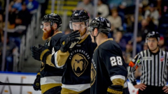 Leafs’ ECHL affiliate Newfoundland Growlers won’t surface season as subscription in league ended