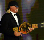 WWE Hall of Fame: Every Hall of Famer inducted because 1993