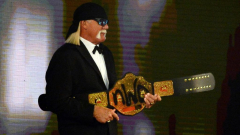 WWE Hall of Fame: Every Hall of Famer inducted because 1993