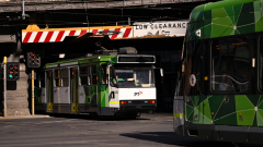 Guy hit by cablecar in Melbourne CBD combating for life