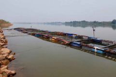 Acid spill in Laos yet to reach Thai towns on Mekong River