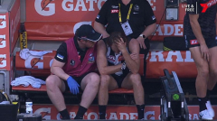 Missingouton Collingwood protector Nathan Murphy concerns health upgrade after mostcurrent concussion