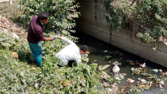 Ecological tracking is an cost-effective approach for typhoid fever monitoring