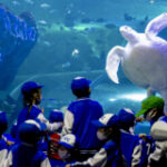 Chiang Mai Zoo’s aquarium reopens after B29m boost